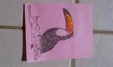 Toco Toucan Drawing - HungerGames1 © 2013 - Apr 27, 2012